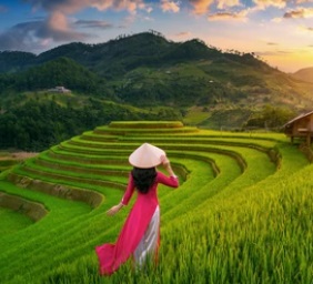 E-visum Vietnam aanvragen